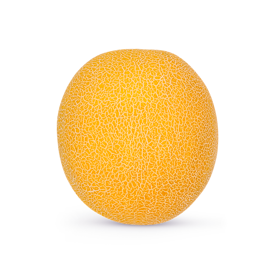 melon