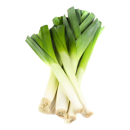 leek