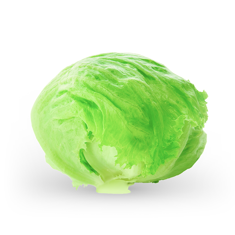 lettuce