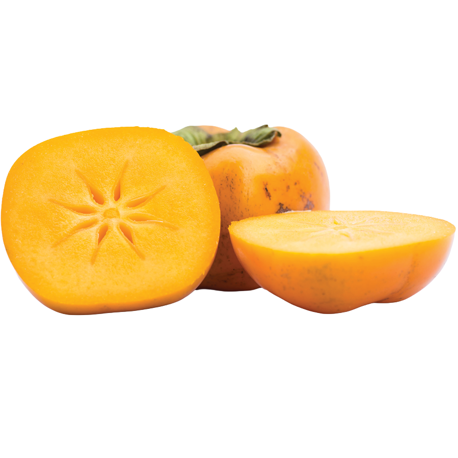 persimmon