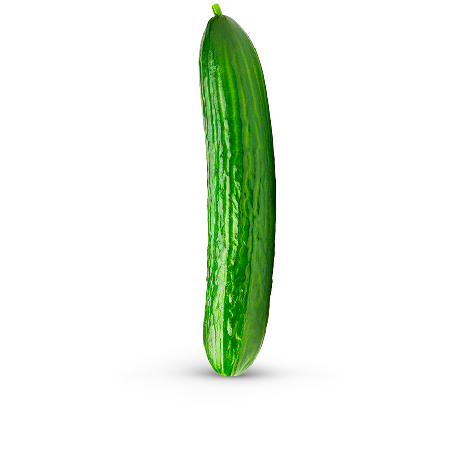 cucumber