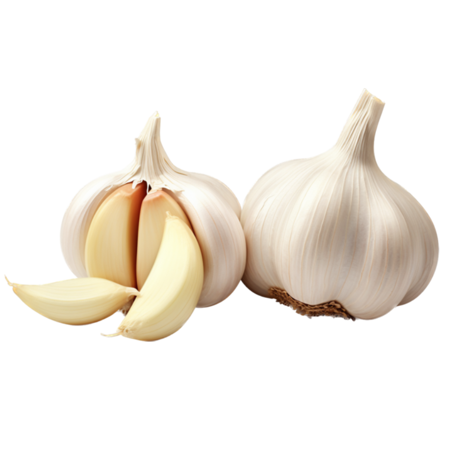 garlic